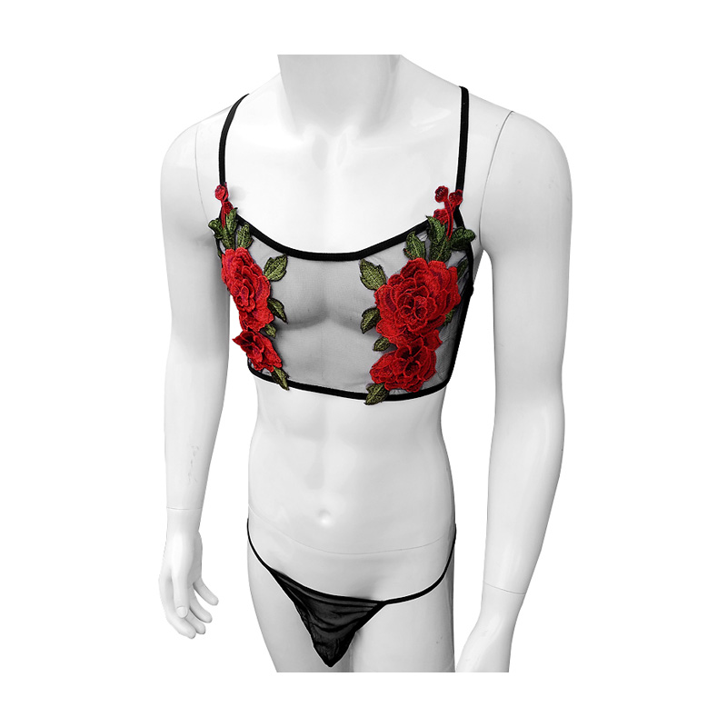 Sheer Bra Lace - Ensemble de Lingerie Sexy brodé pour